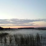 Loons Point Campground