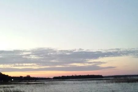 Loons Point Campground