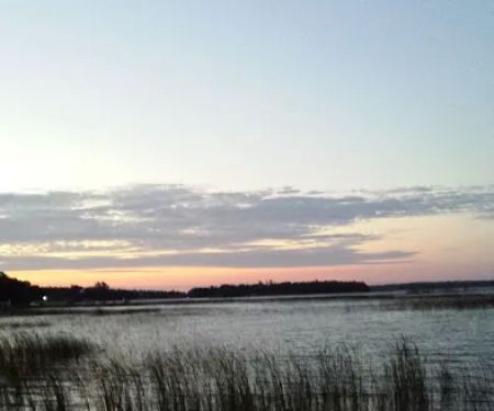 Loons Point Campground