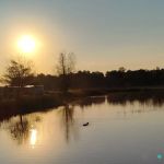 Loons Point RV Park and Campground