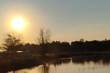 Loons Point RV Park and Campground