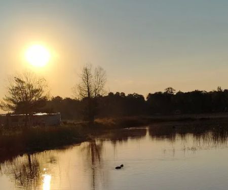 Loons Point RV Park and Campground