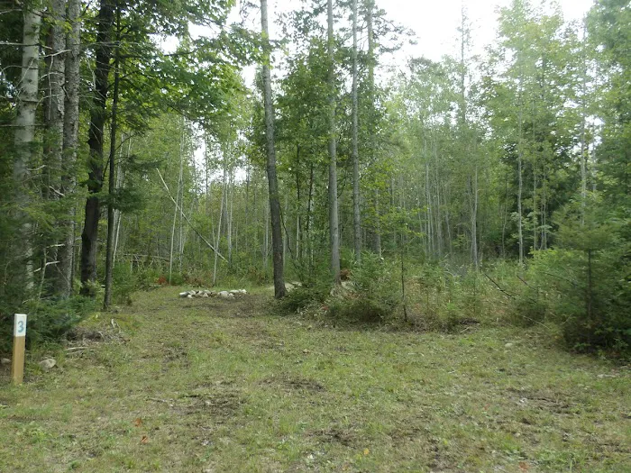 Camp Darling 1