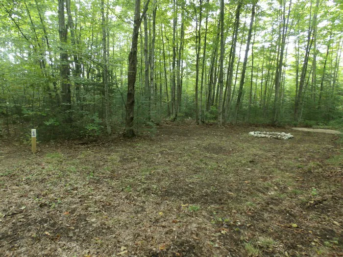 Camp Darling 4
