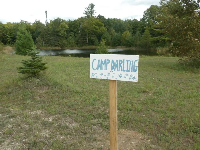 Camp Darling 2