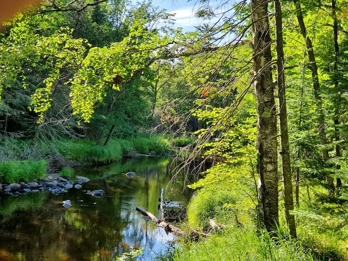 Pattison Park Campground 9