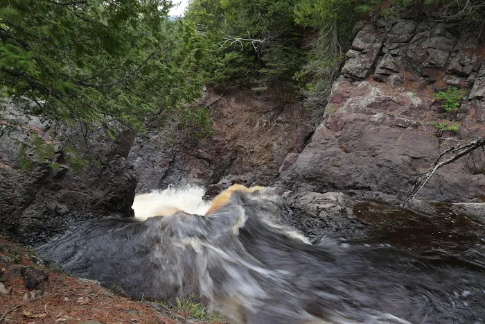 Pattison Park Campground 8