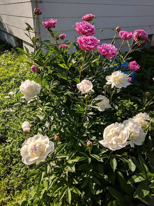 Pleasant View Mobile Home Park 1