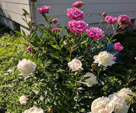 Pleasant View Mobile Home Park