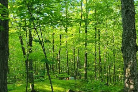 Spirit Mountain Campground