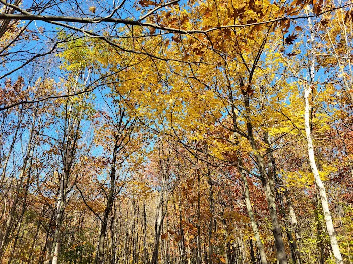 Spirit Mountain Campground 10