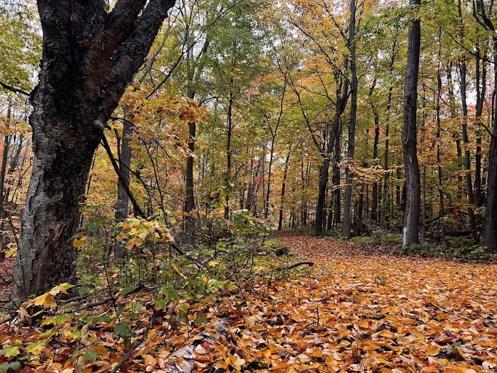 Bagley Nature Area Campground 2