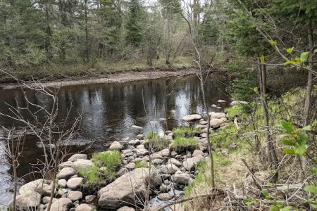Tamarack Horse Campground