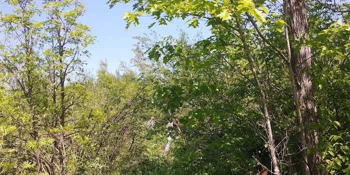 Tamarack Horse Campground 9