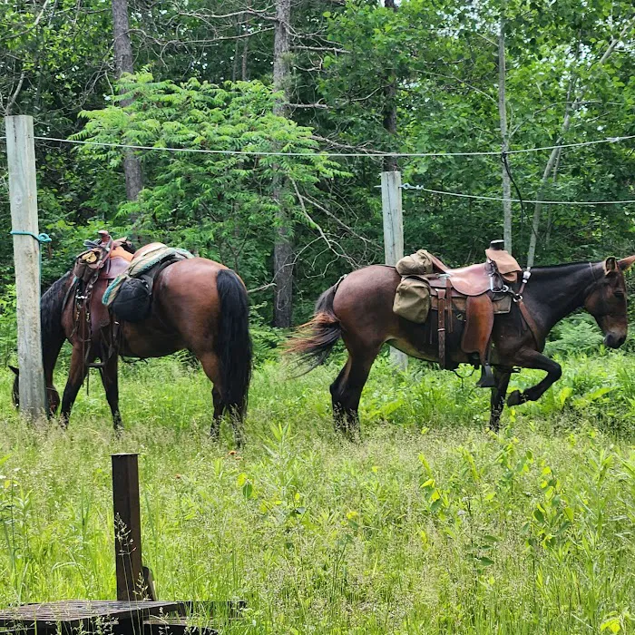 Tamarack Horse Campground 7
