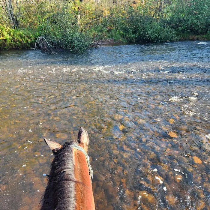 Tamarack Horse Campground 6