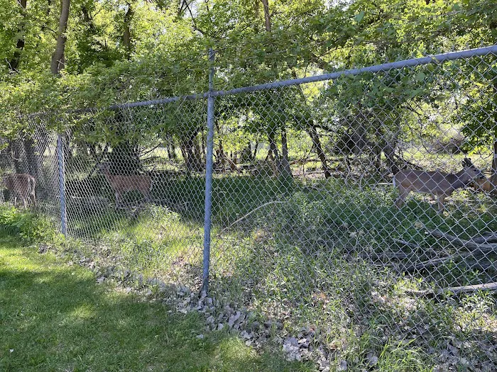 Masonic West River Campground 9