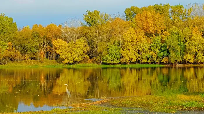 Mississippi Riverwood RV Park Min Rental One Month 1