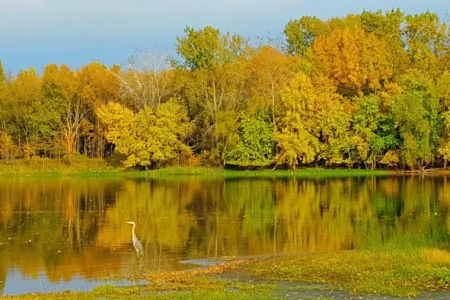 Mississippi Riverwood RV Park Min Rental One Month