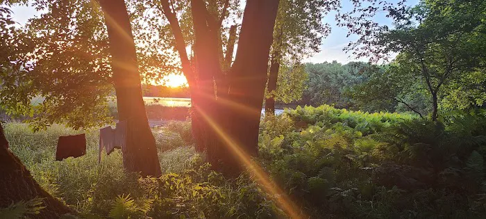 Dimmick Island Watercraft Campsite 2