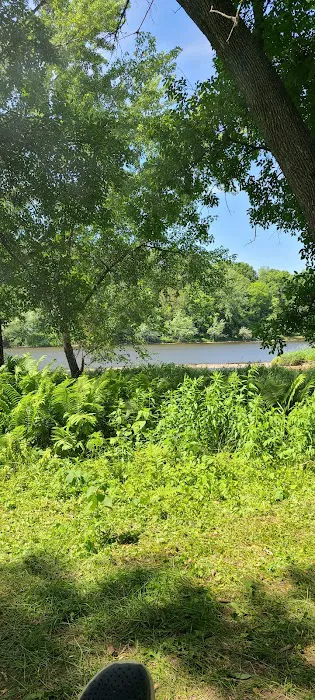 Dimmick Island Watercraft Campsite 7