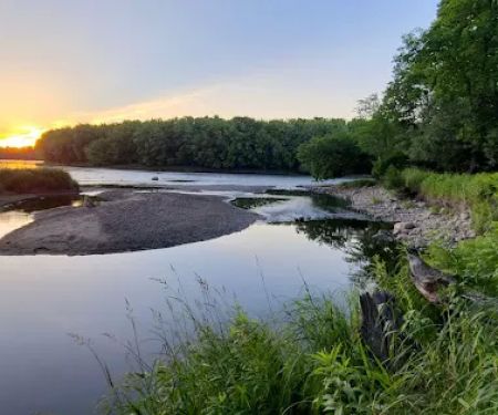 Dimmick Island Watercraft Campsite