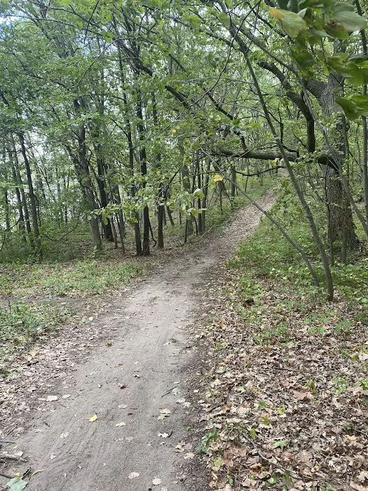 Collinwood Regional Park & Campground 10