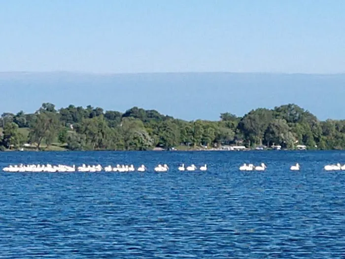 Collinwood Regional Park & Campground 9