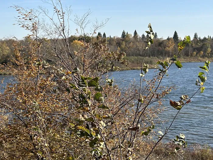 Bertram Chain of Lakes Campground 8