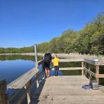 Bertram Chain of Lakes Campground