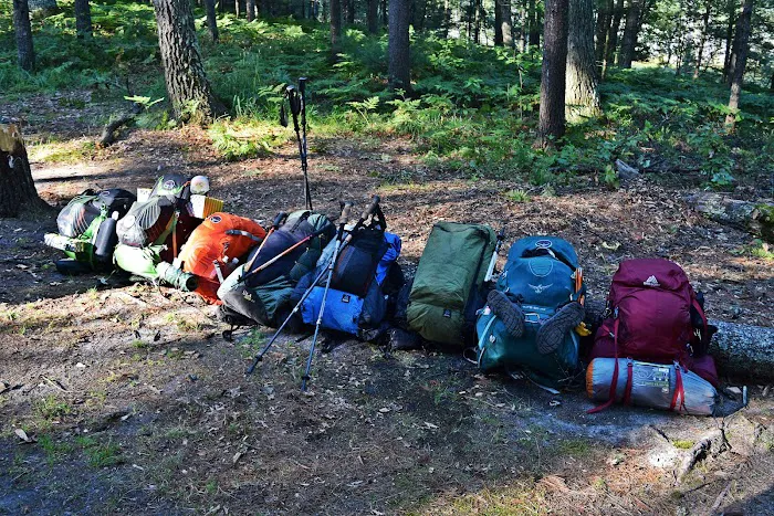 Spring Lake State Forest Campground 10