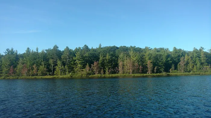 Spring Lake State Forest Campground 6