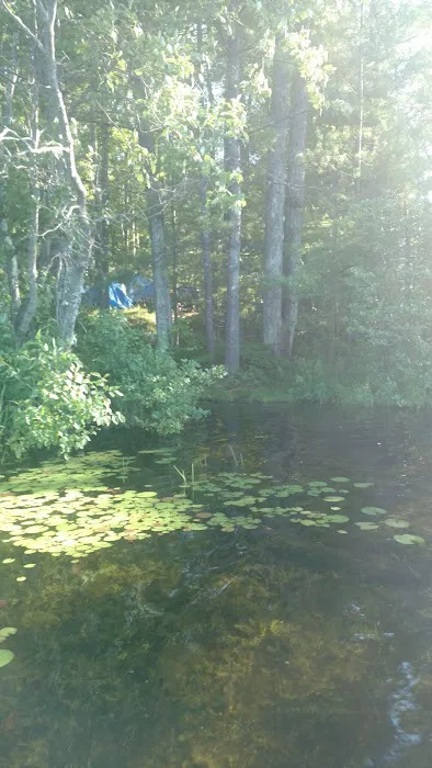 Spring Lake State Forest Campground 3