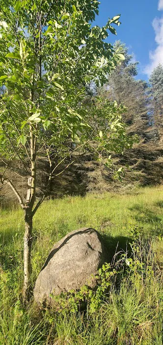 Camp Stonewood Ranch 8