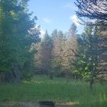 Camp Stonewood Ranch