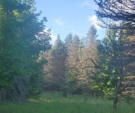 Camp Stonewood Ranch