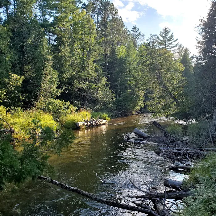 Scheck's Place State Forest Campground 10