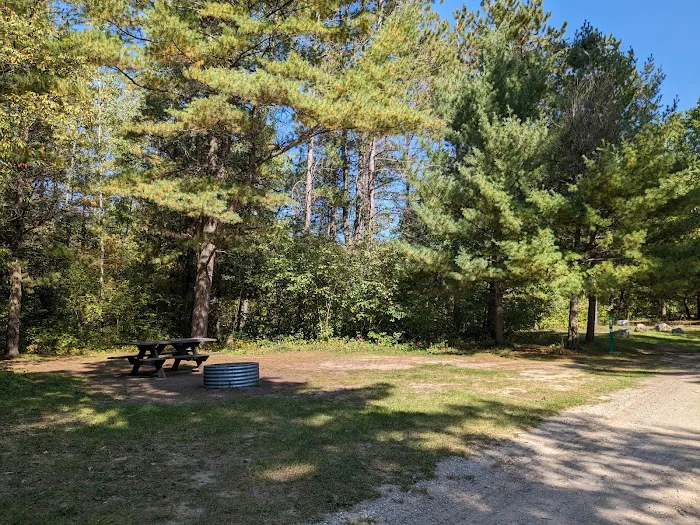 Scheck's Place State Forest Campground 5