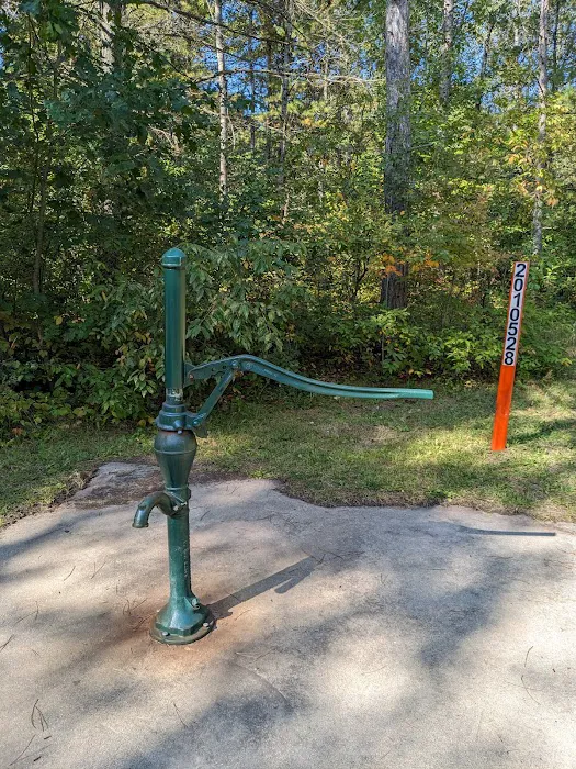 Scheck's Place State Forest Campground 2