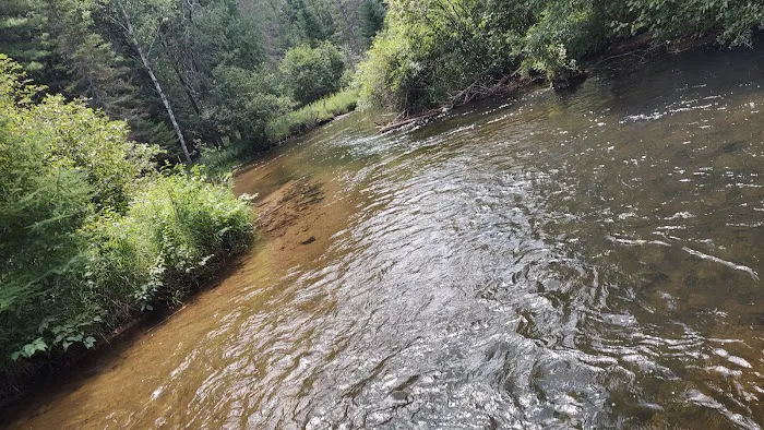 Scheck's Place State Forest Campground 1