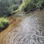 Scheck's Place State Forest Campground