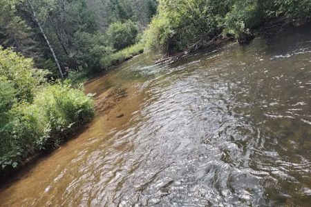 Scheck's Place State Forest Campground