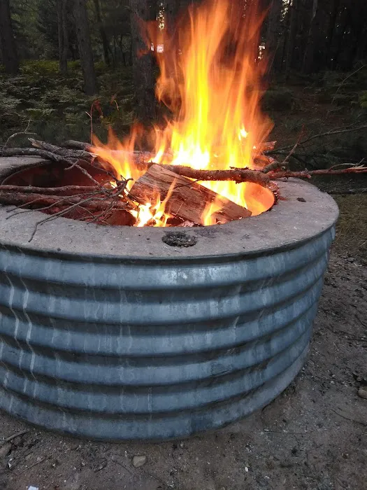 Scheck's Place State Forest Campground 3