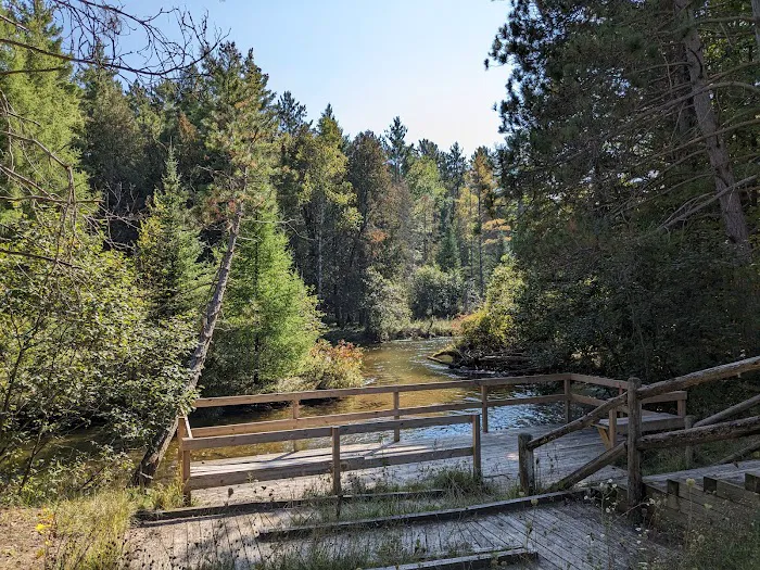 Scheck's Place State Forest Campground 4