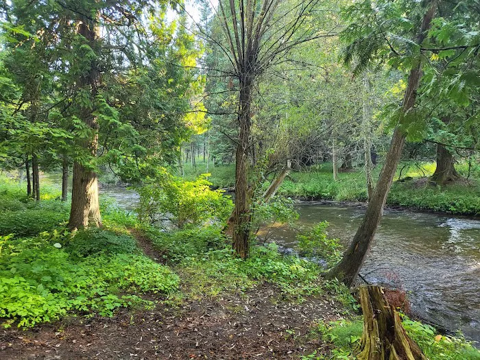 Forks State Forest Campground 10