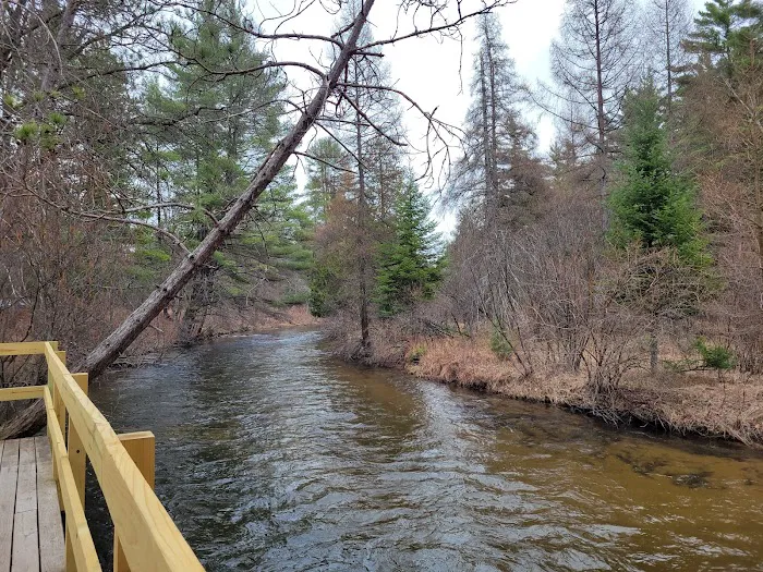 Forks State Forest Campground 8