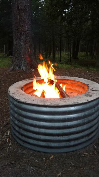 Forks State Forest Campground 5