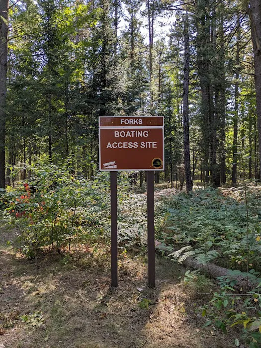 Forks State Forest Campground 6