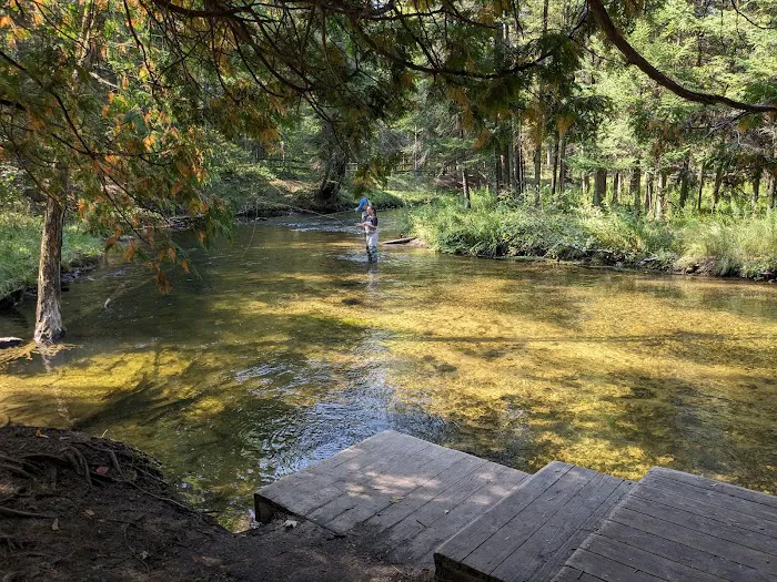 Forks State Forest Campground 3