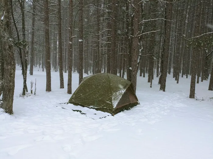 CCC Bridge State Forest Campground 5